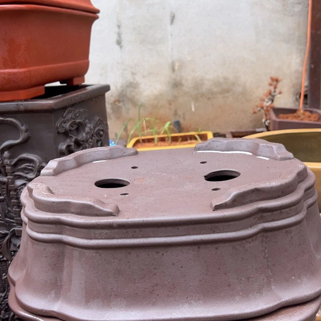 紫砂花盆沈**q呜呜呜呜呜我