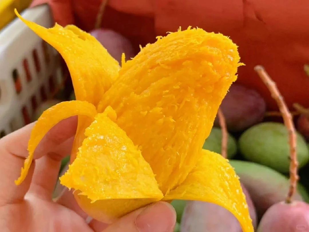 【应季贵妃芒果】广西百色产地果园现摘新鲜发货核薄肉厚鲜甜多汁