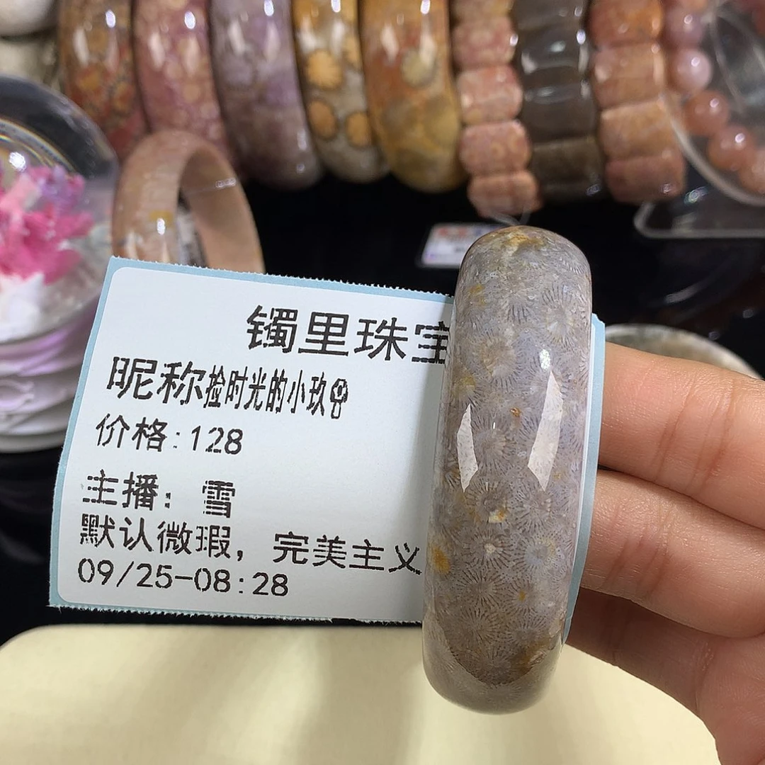 捡****硅化珊瑚（珊瑚玉）未镶嵌吊坠(赠链)