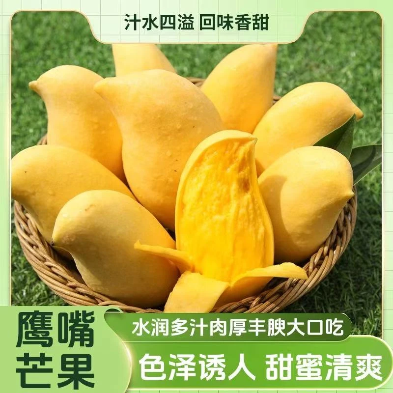 正宗云南鹰嘴芒象牙芒当季现摘热带水果甜心芒京东次日达云南省