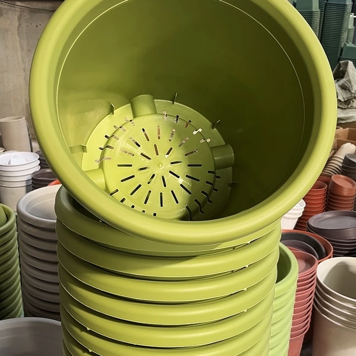 塑料兰**店四季盆果绿色8号 5个加托