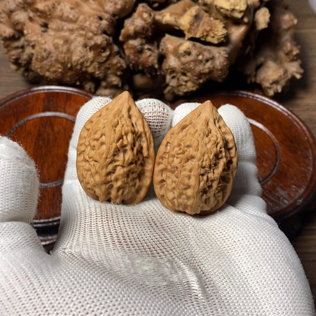 核桃31沈鸡货头白茬