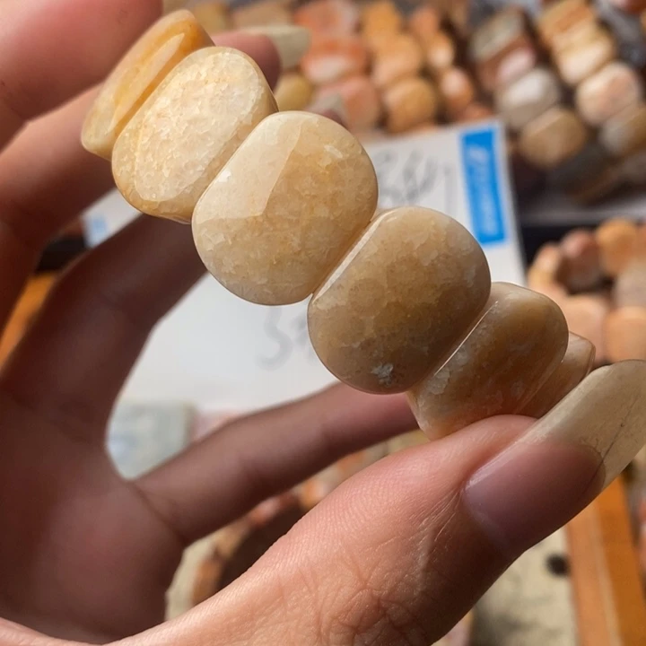 星***桐颈饰未镶嵌硅化珊瑚（珊瑚玉）