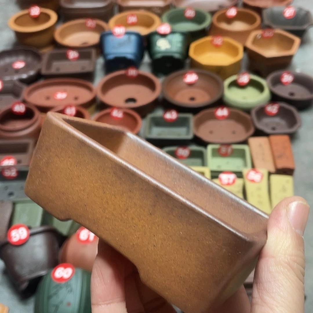 紫砂小盆10*6.5*3cm