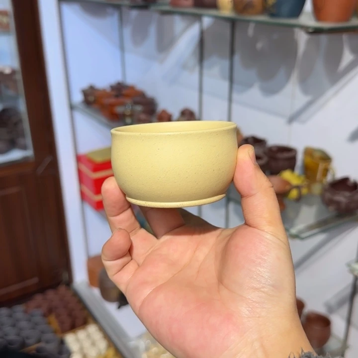 紫砂茶壶本绿杯子