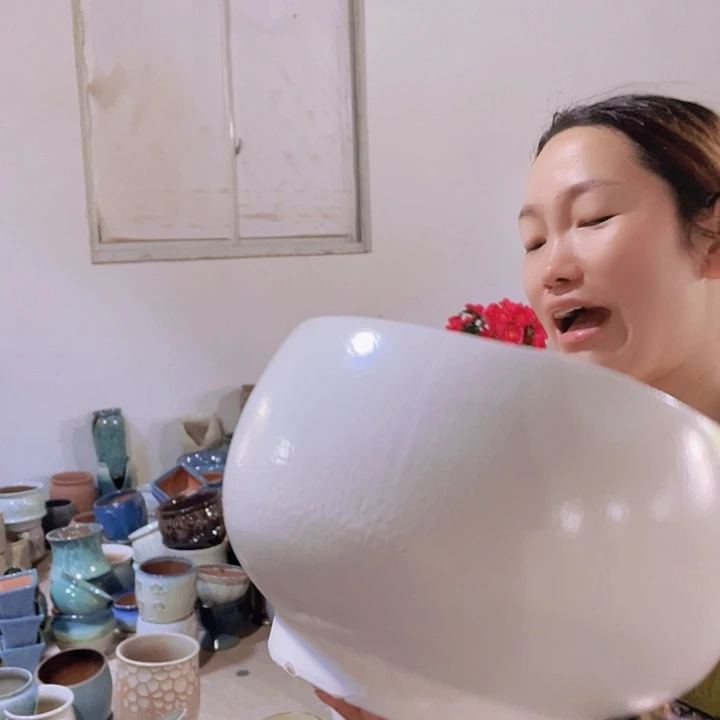 正品28/20一个处理