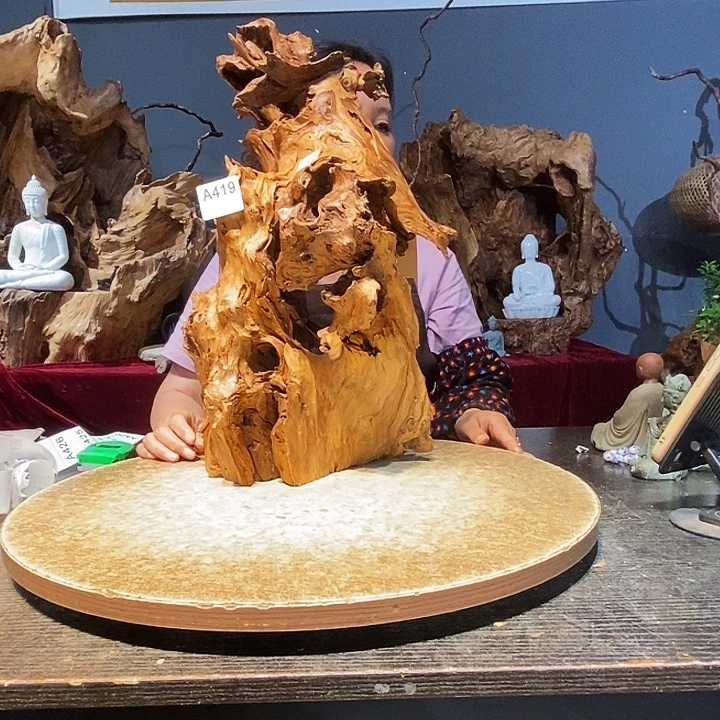 珍**下419株木随行的小根艺