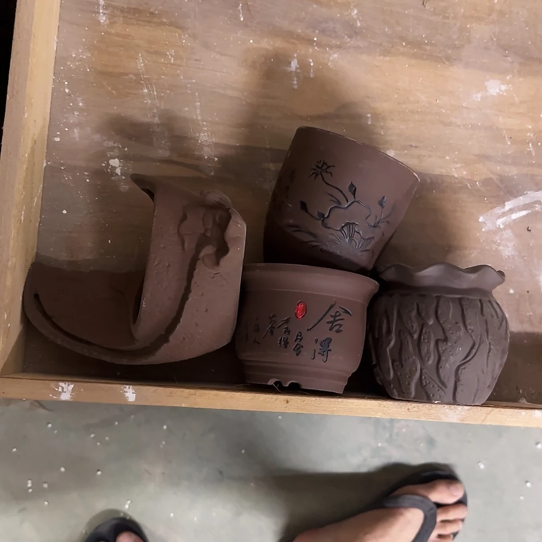 4个福利局绿植多肉盆［凑9元包邮24小时发］