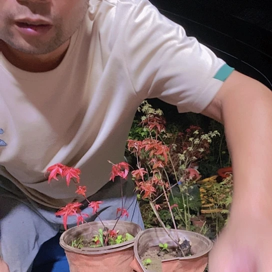 完全开放你们都会有好心情的