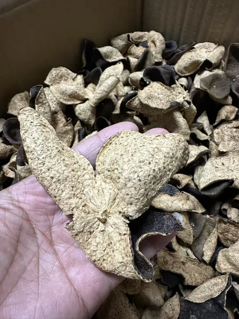 【东甲老皮】正宗新会陈皮核心产区2014年东甲圈枝二红