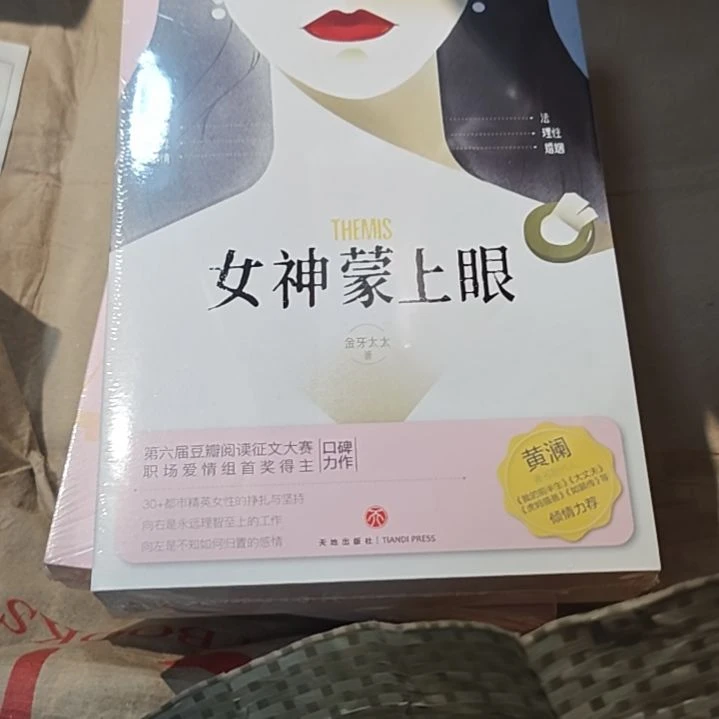 女神蒙上眼平装库存书