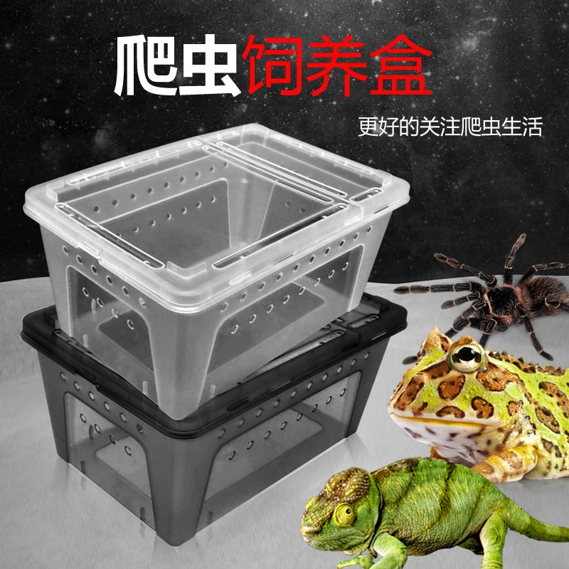 带盖爬宠饲养盒爬虫守宫寄居蟹箱蜥蜴蛇角蛙蜘蛛蜗牛甲虫生态缸