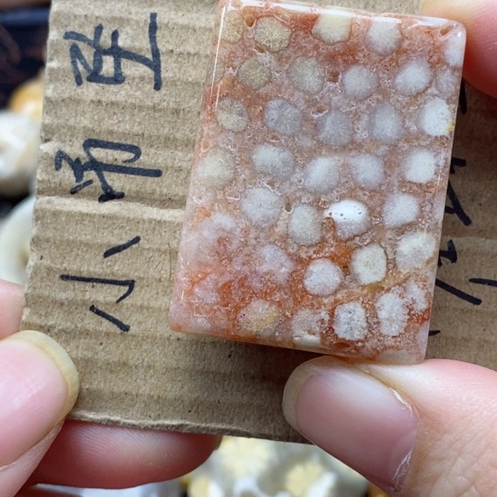硅化珊瑚（珊瑚玉）颈饰未镶嵌