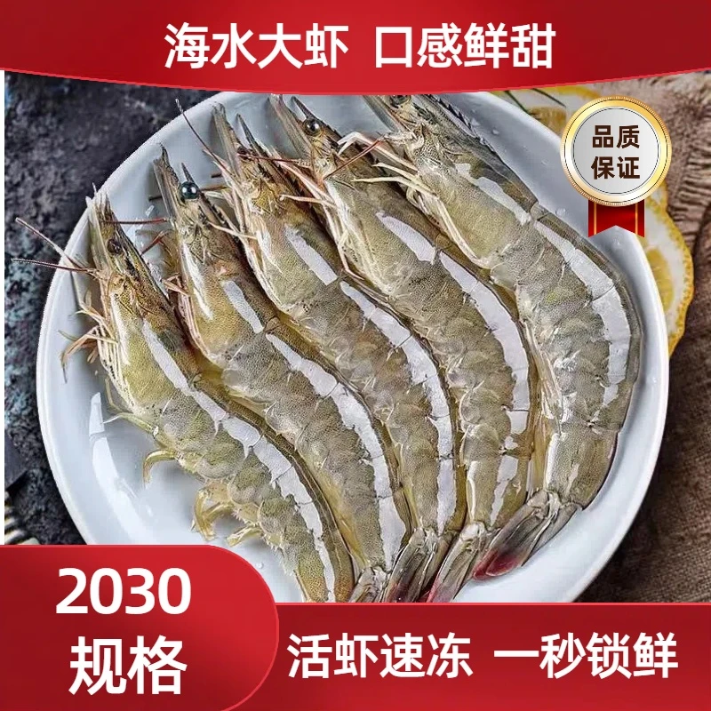 青岛大虾15-18厘米左右2030大大号海虾40-45只左右活虾速冻1500g