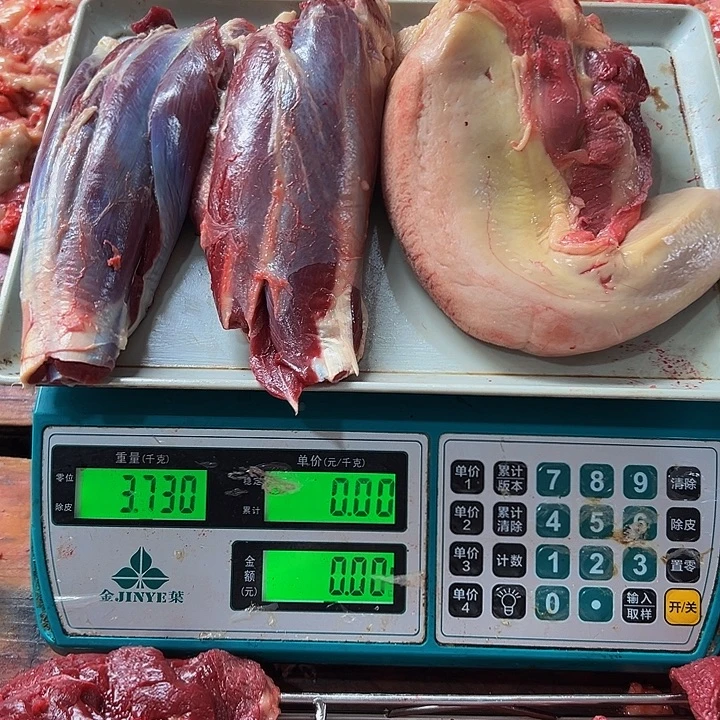 广西土耕马马肉、沙姜炒马肉中国大陆
