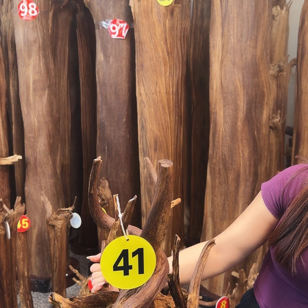 沉香沉香碎屑沉香原材料➕底座