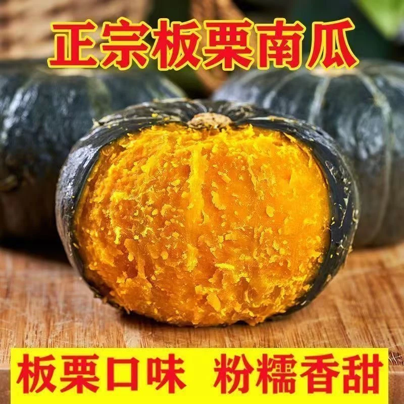 山东潍坊正宗贝贝南瓜粉糯香甜板栗味可作宝宝辅食