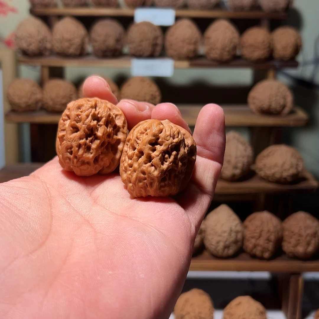 快****康文玩核桃，金钟核桃