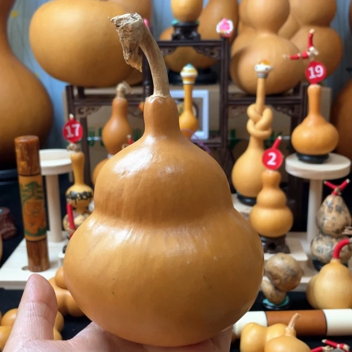 L***️不会吧了不少新东西也没啥