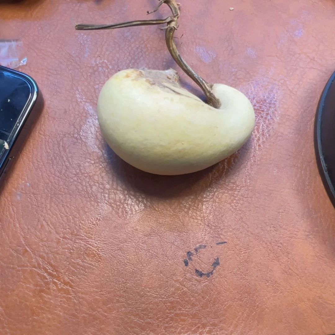 矿***物葫芦葫芦葫芦葫芦