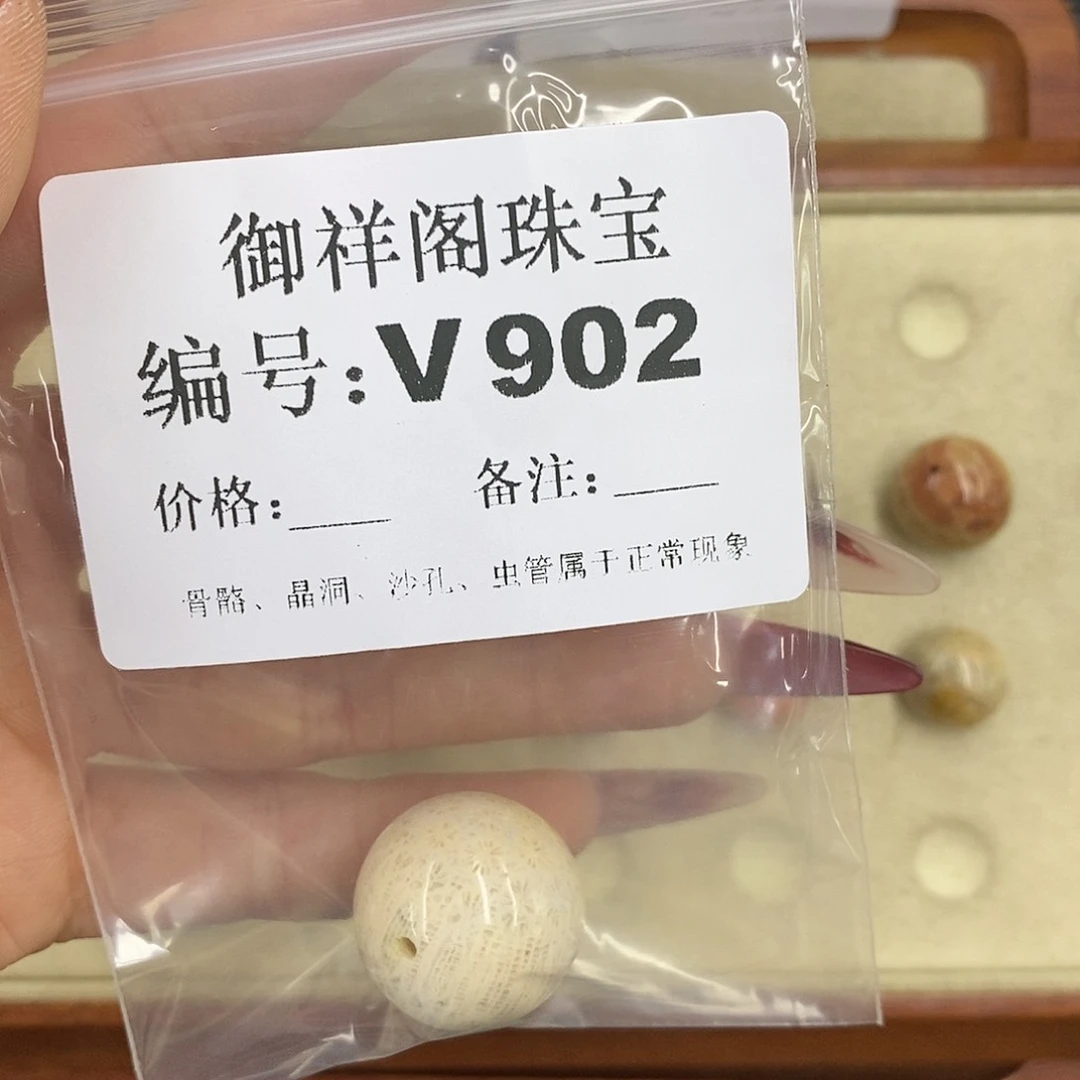 硅化珊瑚（珊瑚玉）颈饰未镶嵌ʚ****ɞ