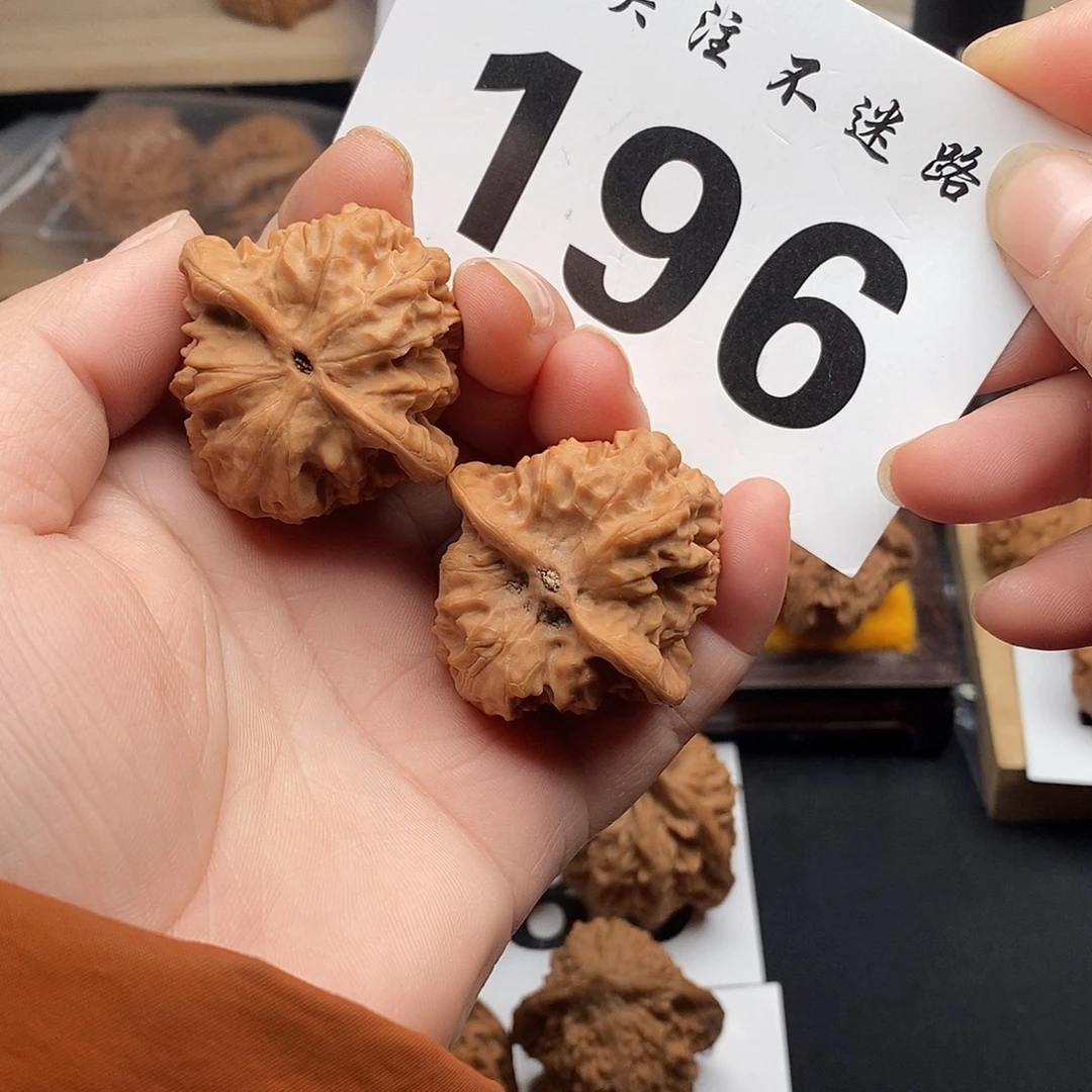 核桃38野狼。
