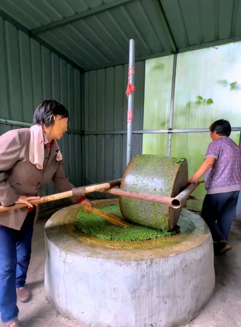 龙汪崖村老石碾磨制山韭花酱纯韭菜花种