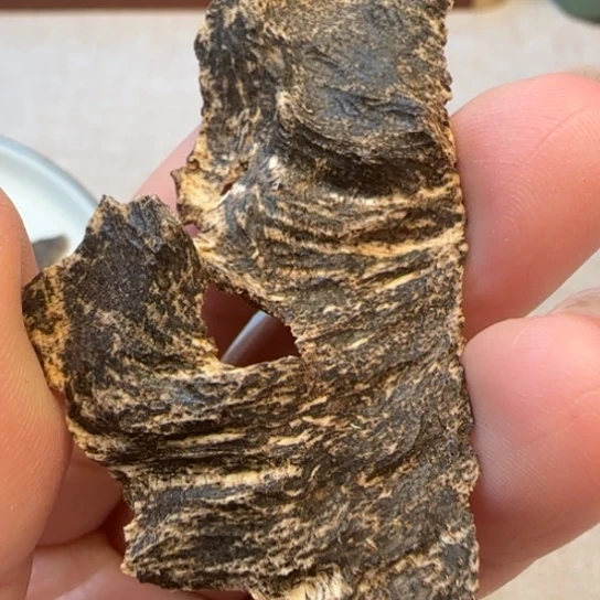 沉香摆件海南沉水包头白沙1.7克