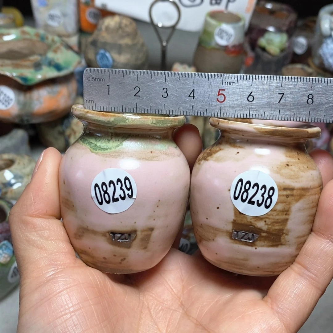 j**c花鱼拍5送一个小礼物