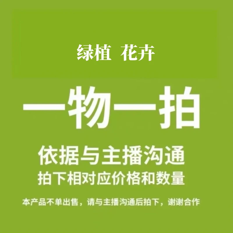 【一物一拍】家庭绿植盆栽花卉  专拍