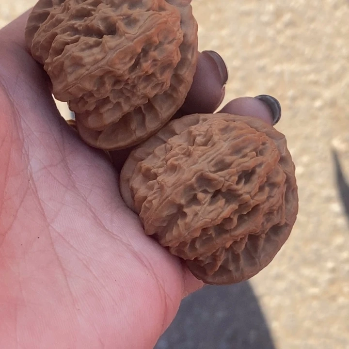 把件文玩核桃原装白狮子头