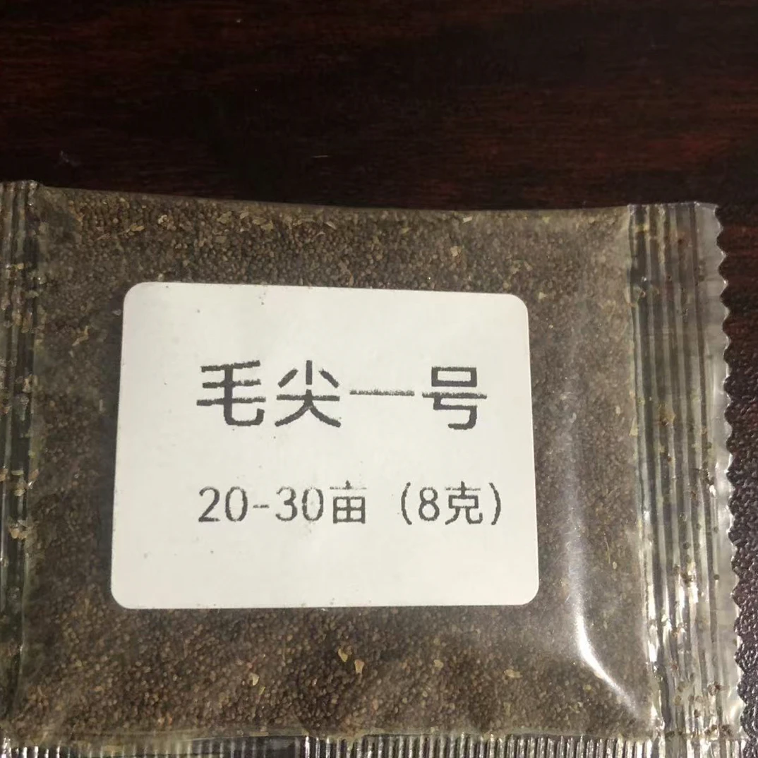 毛尖1号散装颗粒适合2400以下种植的裸种