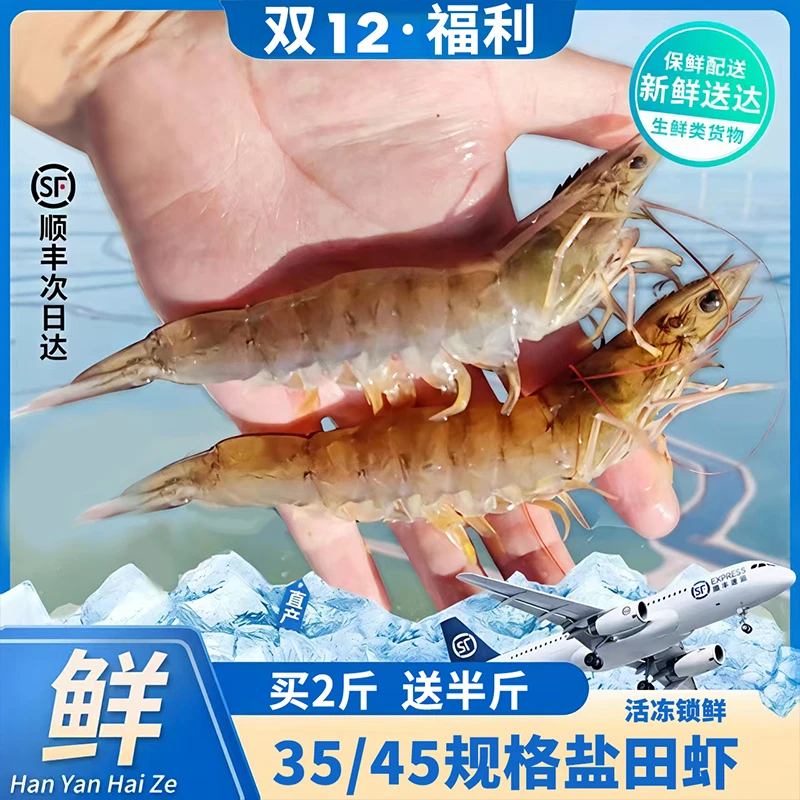 双12 活冻【盐田虾】2斤送半斤 35-45/斤 顺丰包邮 做 虾滑 剥虾仁均可