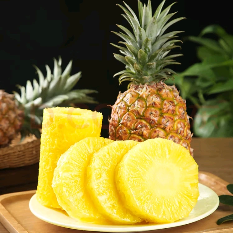【精品果】正宗海南树上熟金钻凤梨 新鲜当季香甜多汁水果 现摘现发