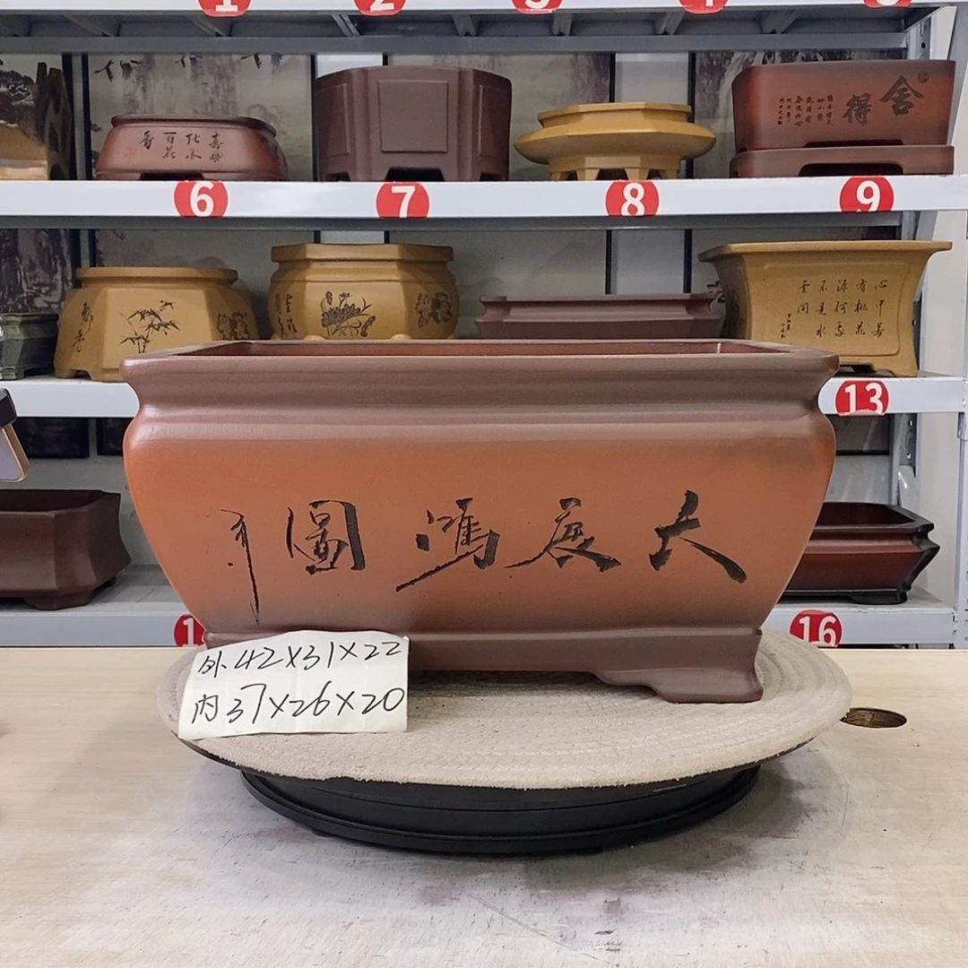 常***着紫砂花盆紫砂花盆