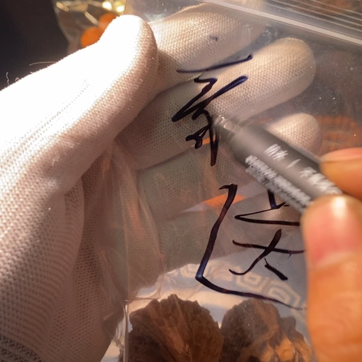 文玩核桃手串豪****g…………