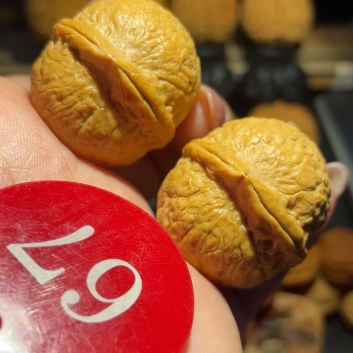 龙珠蛇皮核桃尺寸33