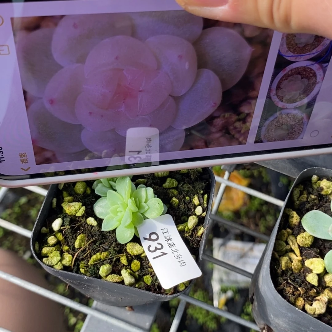 标931粉财富群生一个