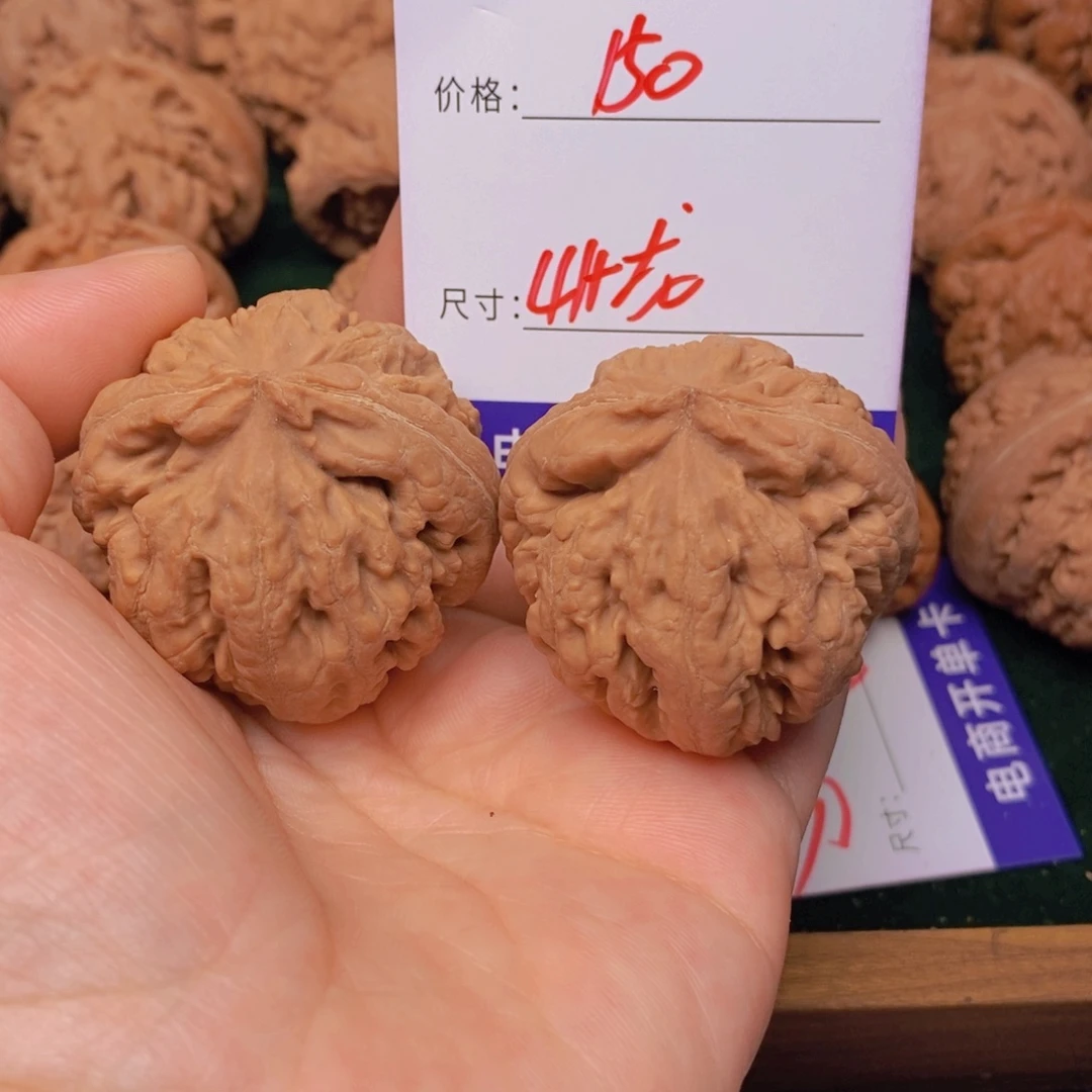文玩核桃霸王龙核桃