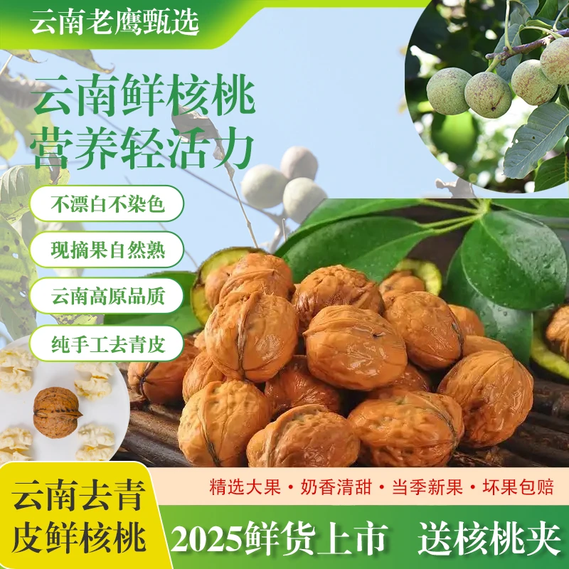 云南高原鲜核桃现采现发人工去青皮薄皮大仁核桃孕妇宝宝营养零食