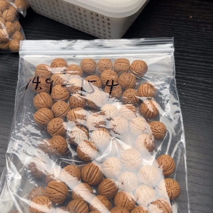 散籽2包50元包邮福利
