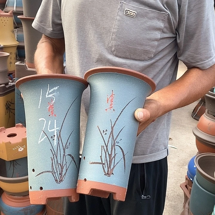 紫砂花盆紫砂花盆盆栽植物花卉