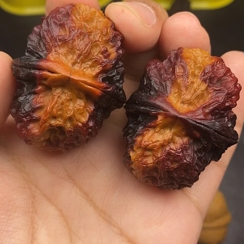 文玩核桃把件45尺云南核桃