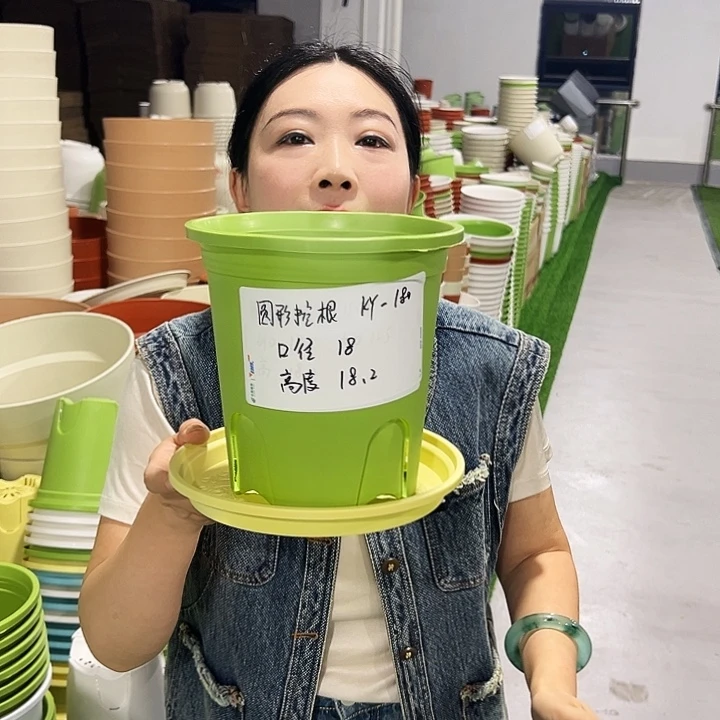 正品圆控口18高18果绿8只带托
