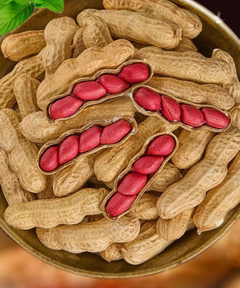 云南昭通农村自产红皮花生带壳花生米新鲜养胃红皮花生