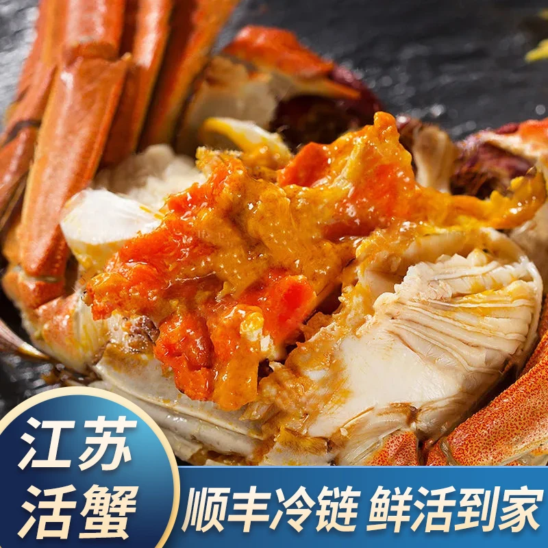 【活蟹】新鲜活河蟹 1.7-1.4两/8只+2只全母蟹 顺丰包邮