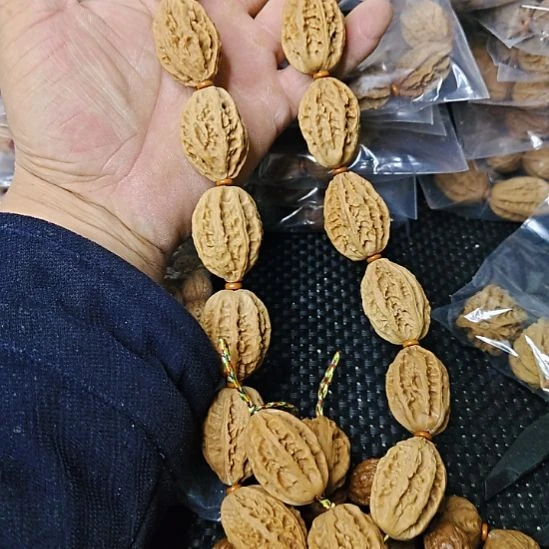菩提籽类太行山货郎    33