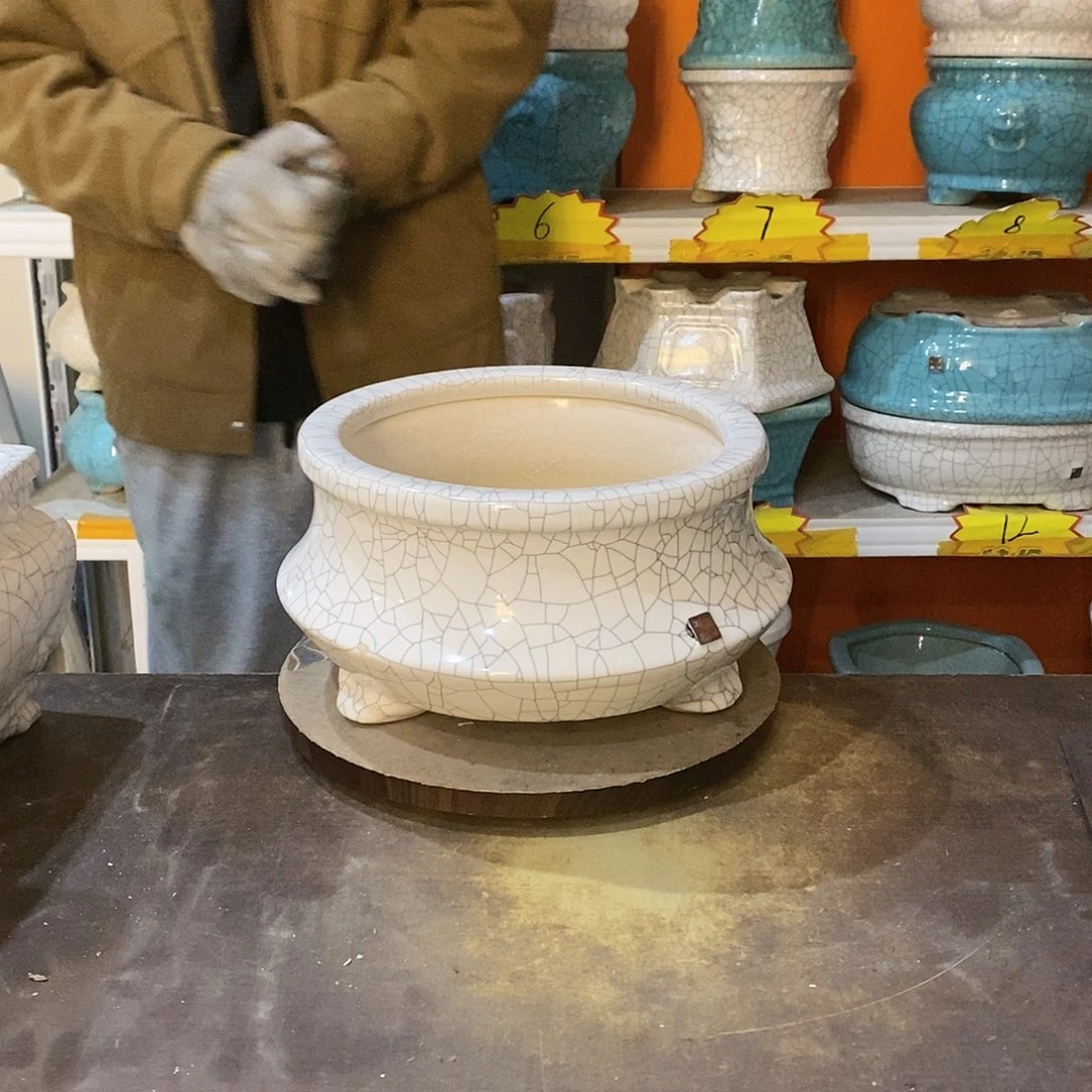 红**火花盆花盆里的花都