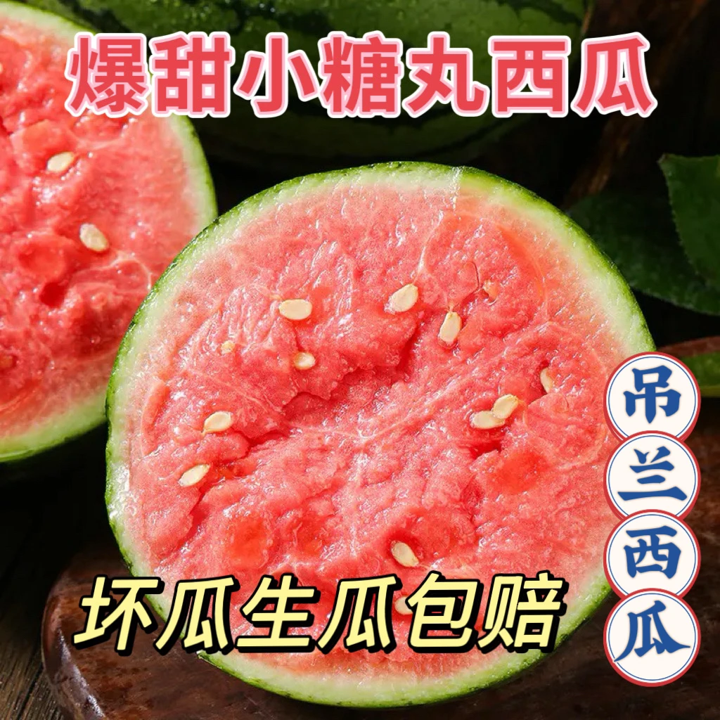 【顺丰包邮】陕西吊兰西瓜小糖丸薄皮脆甜多汁现摘现发