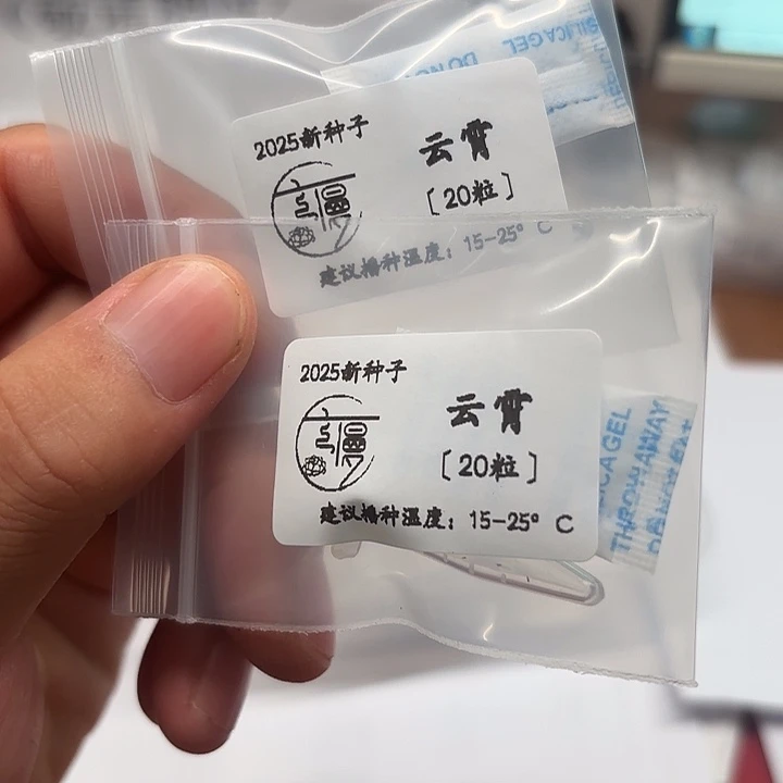 如图2025新种子糖心系云霄20粒
